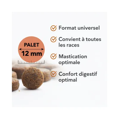France Croquettes Trockenfutter für Hunde Royal Agneau Medium