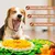 Pawffee Alfombra olfativa interactiva para estimulación mental canina
