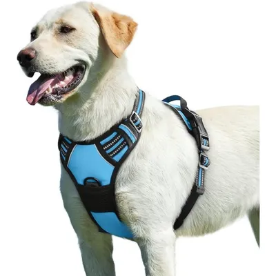 Reflektierendes Anti-Zug-Hundegeschirr mit Griff, Größe L, Blau Reflektierendes Anti-Zug-Hundegeschirr mit Griff, Größe L, Blau