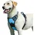 Reflektierendes Anti-Zug-Hundegeschirr mit Griff, Größe L, Blau Reflektierendes Anti-Zug-Hundegeschirr mit Griff, Größe L, Blau