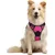 Pawffee Arnés acolchado ajustable para perros, talla S, 34-63 cm, rojo rosa