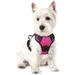 Verstellbares, gepolstertes Hundegeschirr, Größe S, 34–63 cm, Rosarot