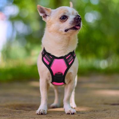 Pawffee Arnés acolchado ajustable para perros, talla S, 34-63 cm, rojo rosa