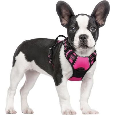 Pawffee Arnés acolchado ajustable para perros, talla S, 34-63 cm, rojo rosa