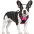Pawffee Arnés acolchado ajustable para perros, talla S, 34-63 cm, rojo rosa