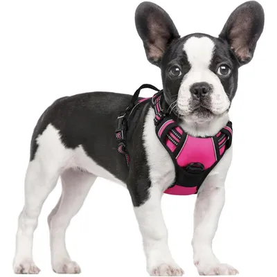 Pawffee Arnés acolchado ajustable para perros, talla S, 34-63 cm, rojo rosa