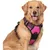 Verstellbares, gepolstertes Hundegeschirr, Größe S, 34–63 cm, Rosarot Verstellbares, gepolstertes Hundegeschirr, Größe S, 34–63 cm, Rosarot