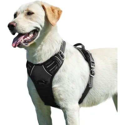 Verstellbares Anti-Zug-Hundegeschirr mit Griff, reflektierend, Größe L Verstellbares Anti-Zug-Hundegeschirr mit Griff, reflektierend, Größe L