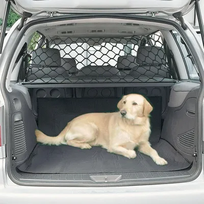Pawffee Red de seguridad negra 90x30cm para perros de coche