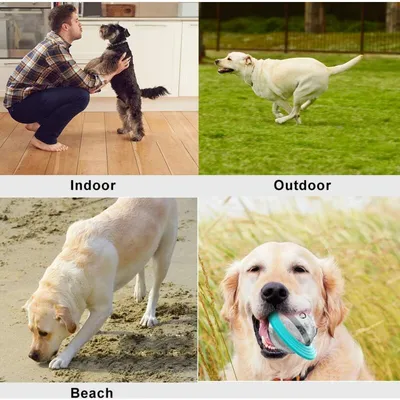 Hundeball – Leckerli-Spender und Kauspielzeug in Blau