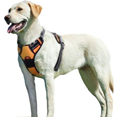 Anti-Zug-Hundegeschirr XL – atmungsaktiv, reflektierend, leicht anzulegen