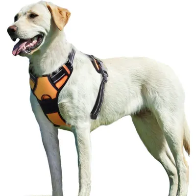 Anti-Zug-Hundegeschirr XL – atmungsaktiv, reflektierend, leicht anzulegen Anti-Zug-Hundegeschirr XL – atmungsaktiv, reflektierend, leicht anzulegen