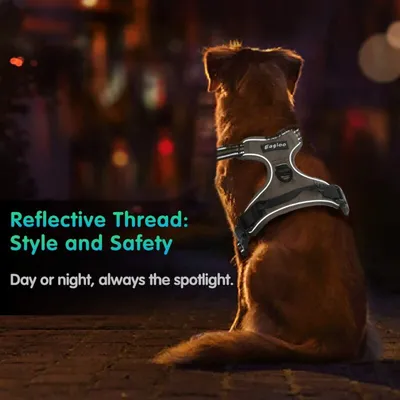 Anti-Zug-Hundegeschirr XL – atmungsaktiv, reflektierend, leicht anzulegen Anti-Zug-Hundegeschirr XL – atmungsaktiv, reflektierend, leicht anzulegen