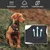 Pawffee Arnés táctico negro talla L para perros, reflectante, antitirones