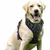 Hundegeschirr schwarz, verstellbar, reflektierend mit Frontclip Hundegeschirr schwarz, verstellbar, reflektierend mit Frontclip
