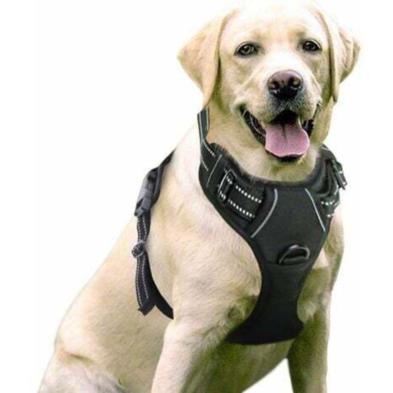 Hundegeschirr schwarz, verstellbar, reflektierend mit Frontclip