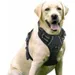 Hundegeschirr schwarz, verstellbar, reflektierend mit Frontclip