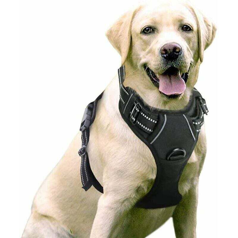Anti Zug Hundegeschirr M schwarz, verstellbar, reflektierend vorn