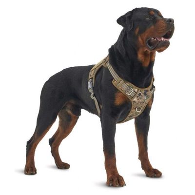 Pawffee Arnés de camuflaje XL resistente transpirable para perros, fácil