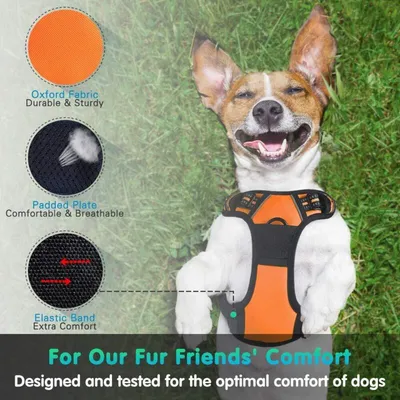 Pawffee Arnés antitirones XL para perros: reflectante, transpirable y