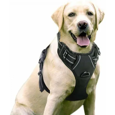 Hundegeschirr – einfach anzulegen, vordere Kontrolle verstellbarer Komfort Hundegeschirr – einfach anzulegen, vordere Kontrolle verstellbarer Komfort