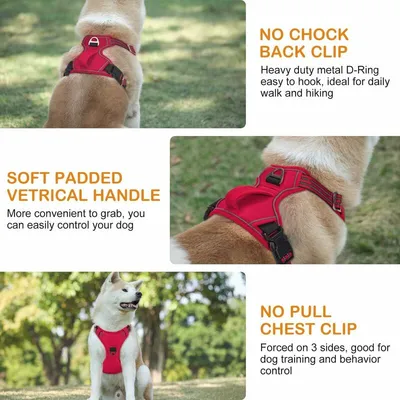 Anti-Zug-Hundegeschirr S rot – reflektierend, verstellbar, atmungsaktiv Anti-Zug-Hundegeschirr S rot – reflektierend, verstellbar, atmungsaktiv
