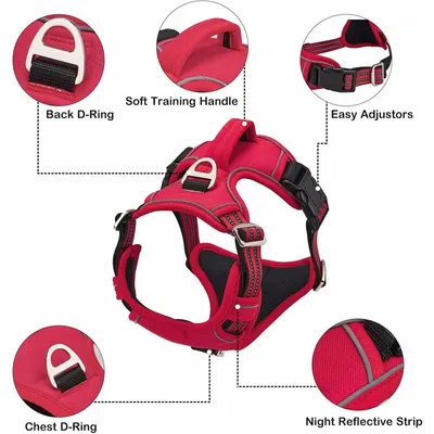 Pawffee Arnés antitirones rojo talla S reflectante ajustable para perros Pawffee Arnés antitirones rojo talla S reflectante ajustable para perros