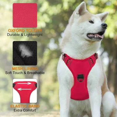 Pawffee Arnés antitirones rojo talla S reflectante ajustable para perros Pawffee Arnés antitirones rojo talla S reflectante ajustable para perros