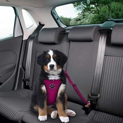Pawffee Arnés rosa talla M transpirable para perros, seguro para el coche