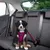 Pawffee Arnés rosa talla M transpirable para perros, seguro para el coche Pawffee Arnés rosa talla M transpirable para perros, seguro para el coche