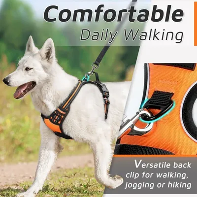 Pawffee Arnés para perros grandes: modelo ajustable reflectante antitirones