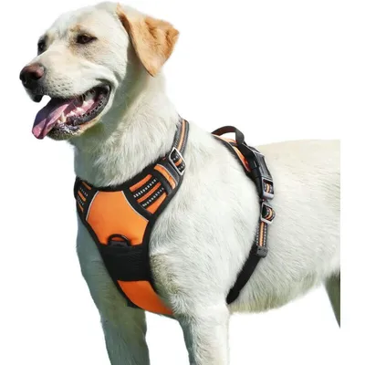 Hundegeschirr L – verstellbares, reflektierendes Anti-Zug-Modell Hundegeschirr L – verstellbares, reflektierendes Anti-Zug-Modell