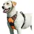 Hundegeschirr L – verstellbares, reflektierendes Anti-Zug-Modell Hundegeschirr L – verstellbares, reflektierendes Anti-Zug-Modell