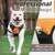 Pawffee Arnés para perros grandes: modelo ajustable reflectante antitirones