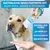 BluePet Hundeshampoo, Shampoo für Hunde Mild & Pflegend, Made in Germany
