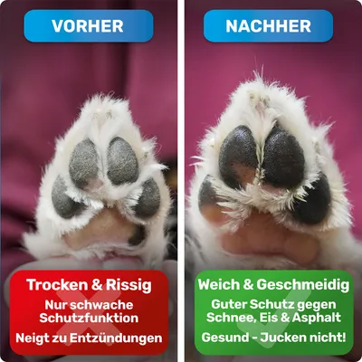BluePet Pfotenbalsam Hund, Hundepfoten Balsam, Pfotencreme trockene Pfoten BluePet Pfotenbalsam Hund, Hundepfoten Balsam, Pfotencreme trockene Pfoten