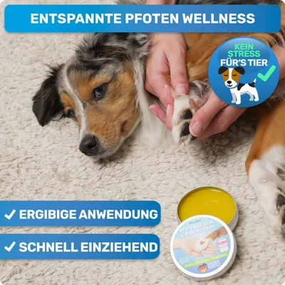 BluePet Pfotenbalsam Hund, Hundepfoten Balsam, Pfotencreme trockene Pfoten BluePet Pfotenbalsam Hund, Hundepfoten Balsam, Pfotencreme trockene Pfoten