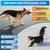 BluePet Pfotenbalsam Hund, Hundepfoten Balsam, Pfotencreme trockene Pfoten BluePet Pfotenbalsam Hund, Hundepfoten Balsam, Pfotencreme trockene Pfoten