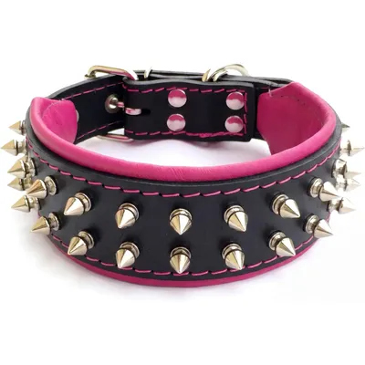 Collier Frenchie Collier Frenchie