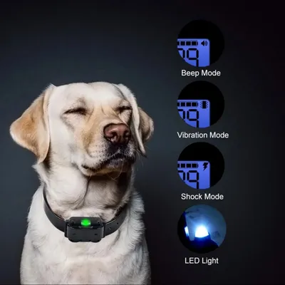 Wiederaufladbares Hundegerät mit Vibration, Ton, IPX67 wasserdicht