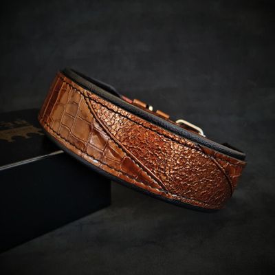 Das ''Korona'' Halsband