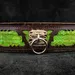 Das ''Venom'' Halsband