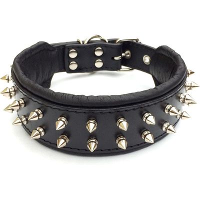 Collier Frenchie
