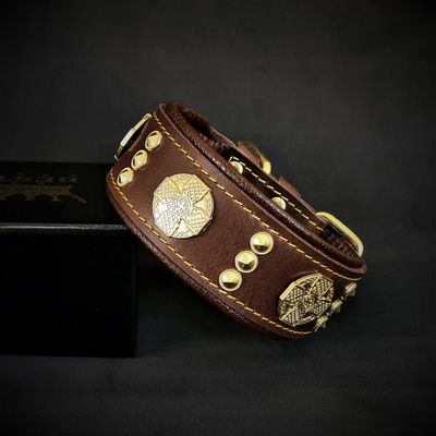 Maximus Echtleder Halsband 5 cm breit