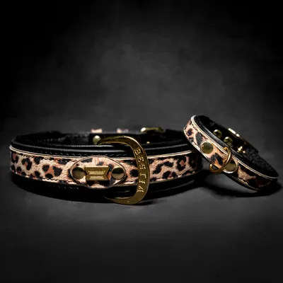 Das Leopard-Welpenhalsband