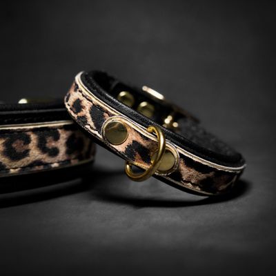 Das Leopard-Welpenhalsband