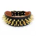 Das "Big Boy" Halsband