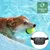 3-Modus-Hundetrainingshalsband: Stromschlag, Vibration, verstellbar, IP65
