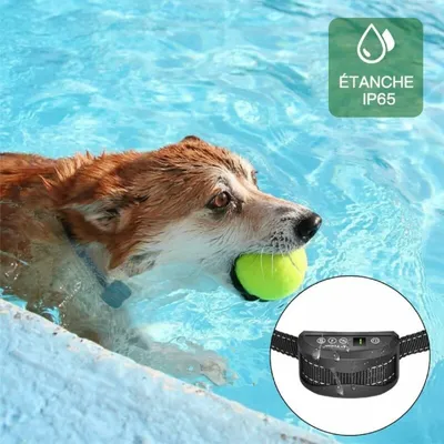 3-Modus-Hundetrainingshalsband: Stromschlag, Vibration, verstellbar, IP65
