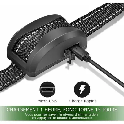 3-Modus-Hundetrainingshalsband: Stromschlag, Vibration, verstellbar, IP65